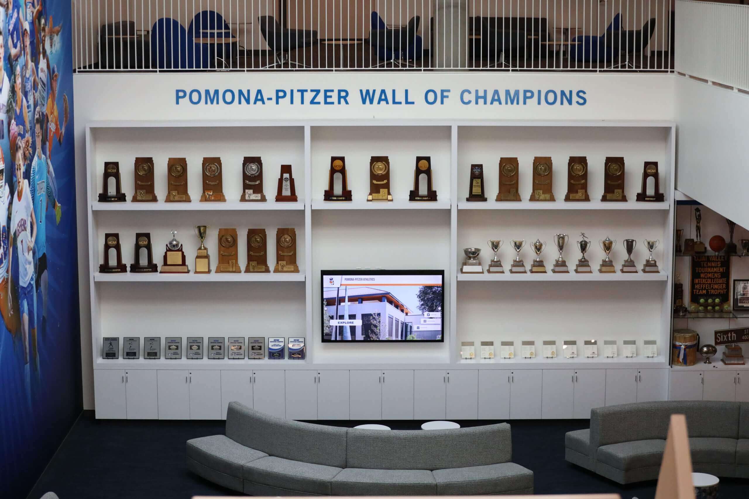 Champion wall display